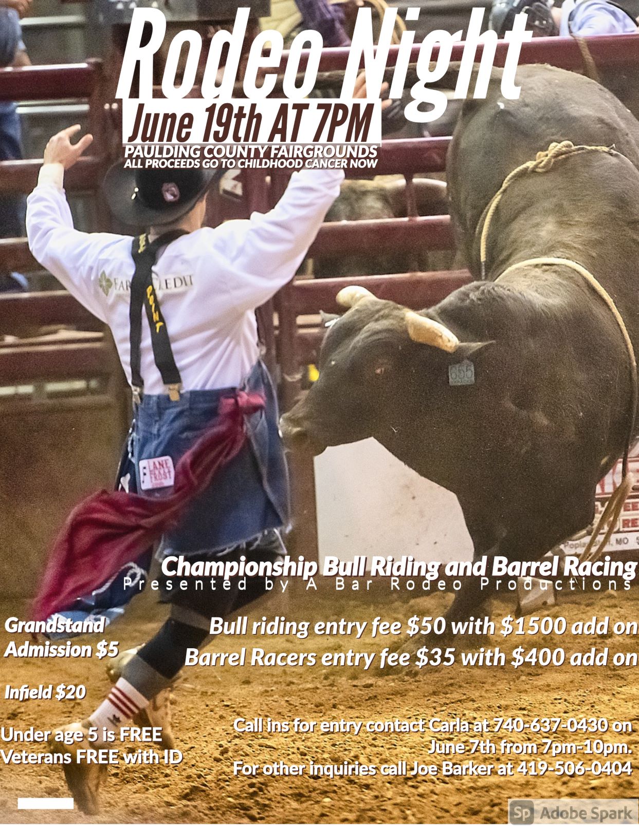 Rodeo Night Paulding County Fair